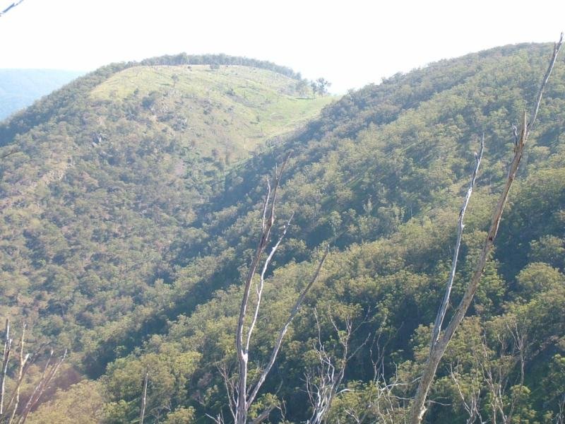 YARROWITCH AREA Picture 2