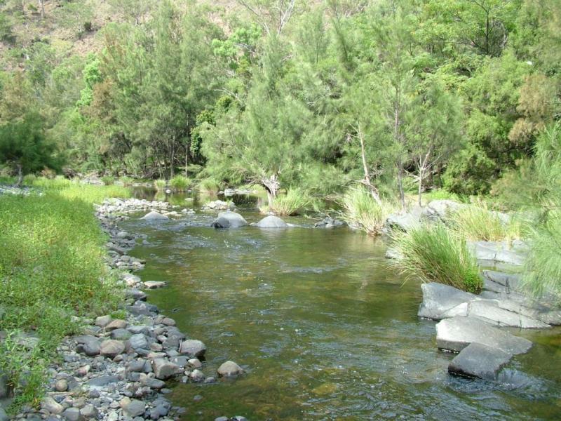 YARROWITCH AREA Picture 1