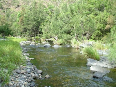 YARROWITCH AREA Picture