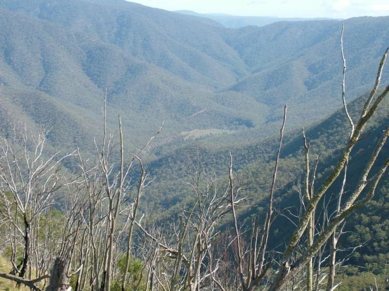 YARROWITCH AREA Picture 3