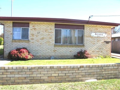 START YOUR PORTFOLIO HERE Picture START YOUR PORTFOLIO HERE Picture