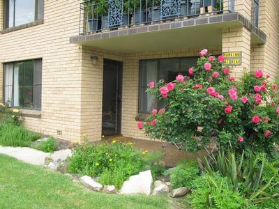 GREAT VALUE UNIT Picture