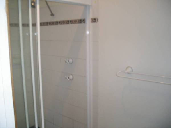 LEAFY OUTLOOK Picture 3