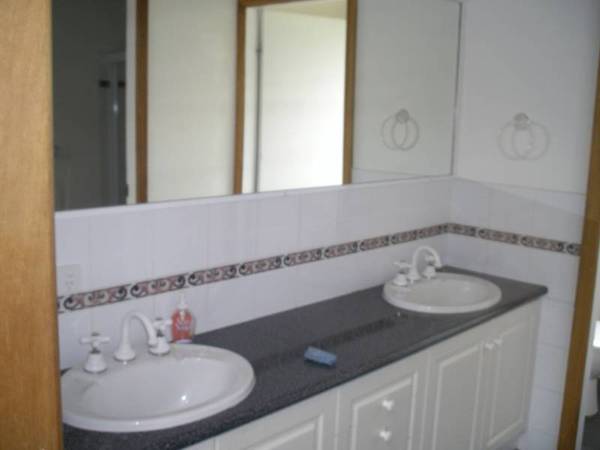 LEAFY OUTLOOK Picture 2