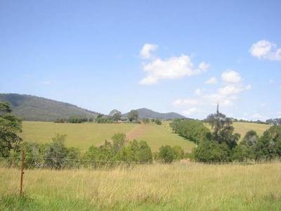 "HOLLINGS PARK" Picture