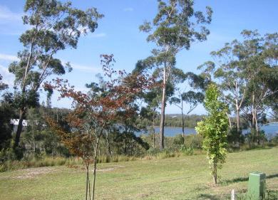 STUNNING OUTLOOK Picture 1