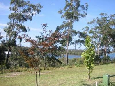 STUNNING OUTLOOK Picture