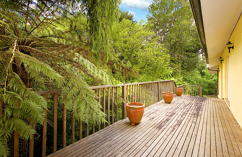 SPRING TIME FRESH! Picture 3