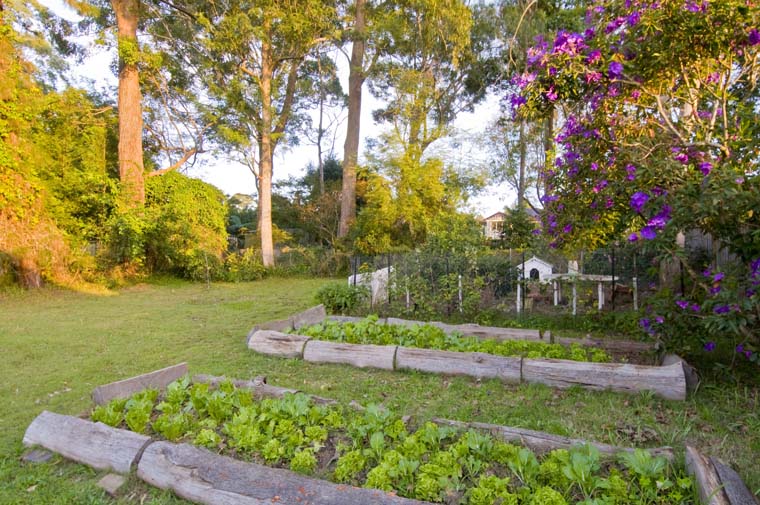 EAST SIDE WALK RAIL - OFFERS BY 24 JUNE! Picture 2