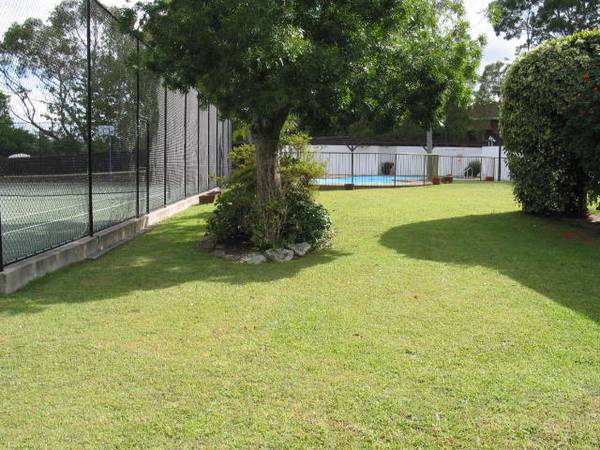 Renovated Spacious and Tranquil Family Residence.. Register your interest Picture 3