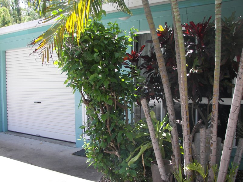 Just across the road from the water Picture 2