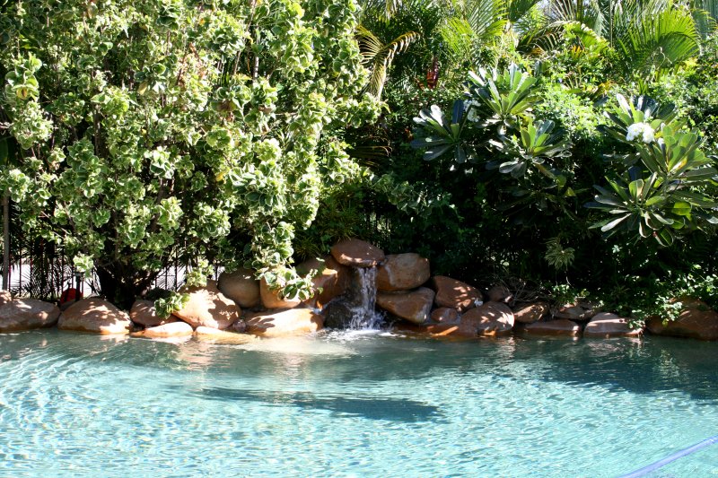 Entertainers Dream! Picture 3