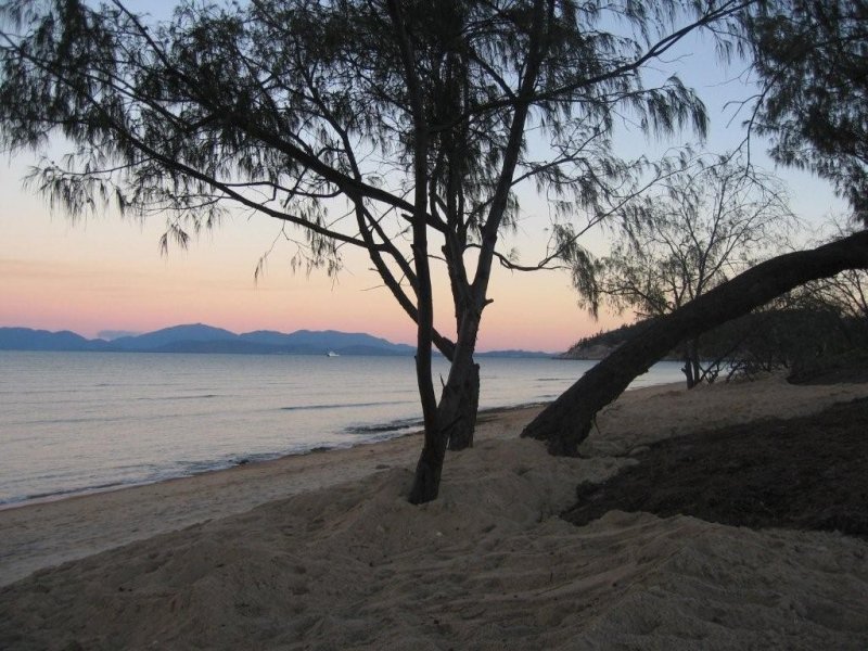 Absolute Beachfront Picture 3