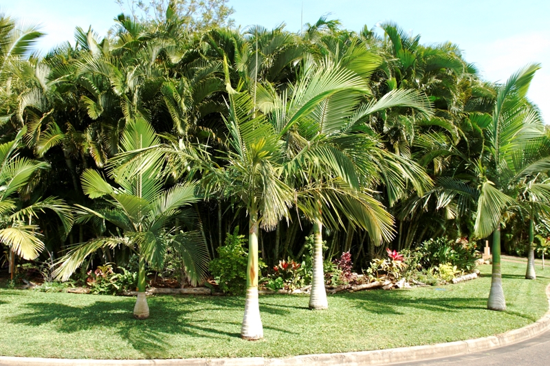 Unique Pavillion Style Home Picture 1