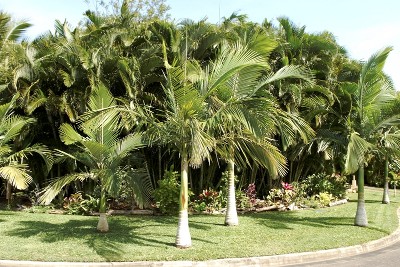 Unique Pavillion Style Home Picture