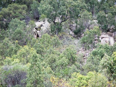 PRICE SLASHED ON
SEA VIEW
BLOCK. Picture