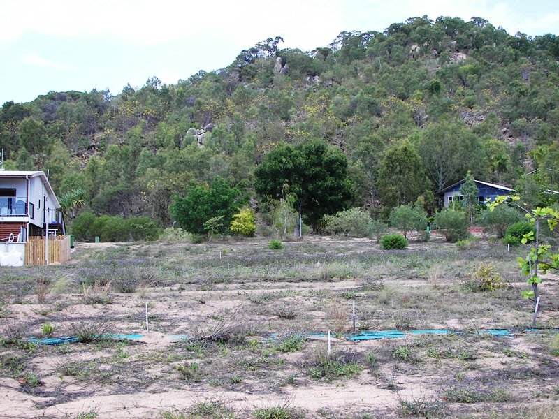 PRICE SLASHED ON
SEA VIEW
BLOCK. Picture 3