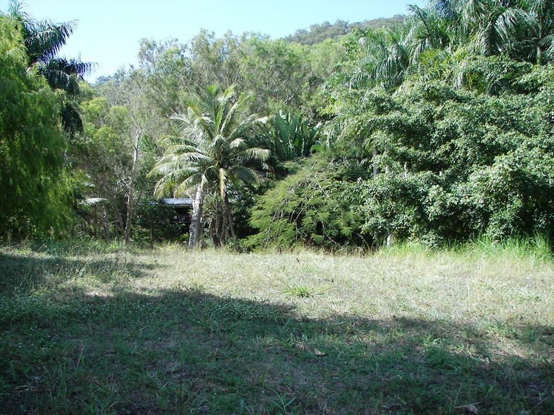 Superb Florna and Fauna Great Building Block !! Picture 3