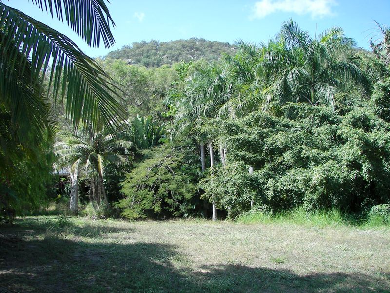 Superb Florna and Fauna Great Building Block !! Picture 2