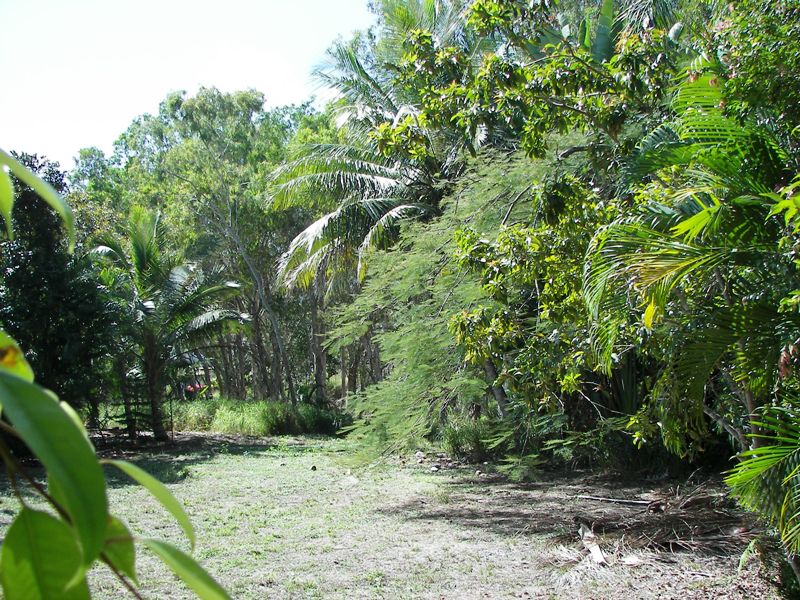 Superb Florna and Fauna Great Building Block !! Picture 1