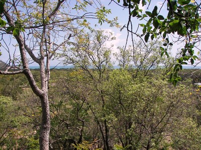 VIEWS OVER HORSESHOE BAY TO DUNK AND HINCHINBROOK IS. Picture