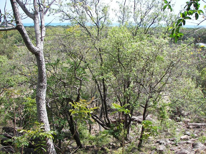 VIEWS OVER HORSESHOE BAY TO DUNK AND HINCHINBROOK IS. Picture 2