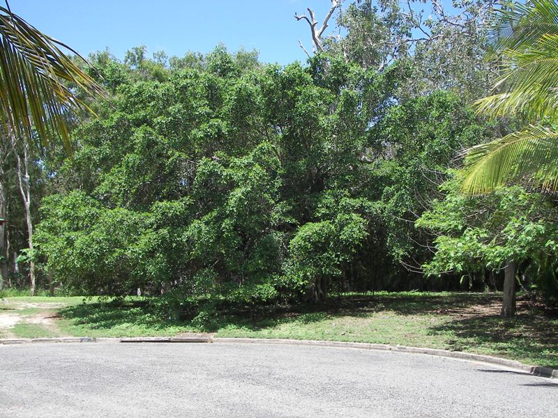 PEACE AND QUIET ESTABLISHED TROPICAL GARDENS Picture 2