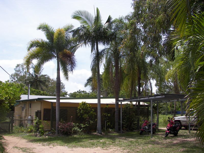 HOUSE, 2 SHEDS, 1416M2, TOURIST CORE ZONING, SOONING STREET Picture 1