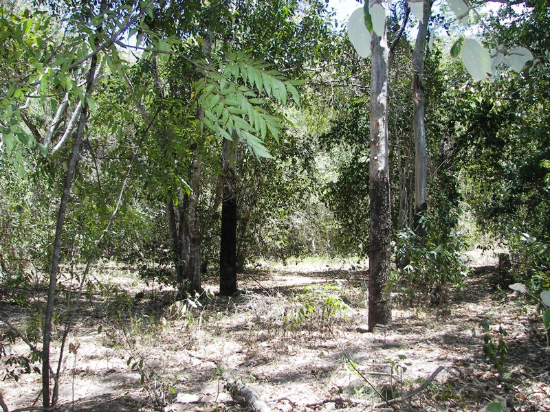 Hideaway Estate
-
Nelly Bay
-
Magnetic Island
-
Rural living
-
22mins to Townsville !! Picture 2