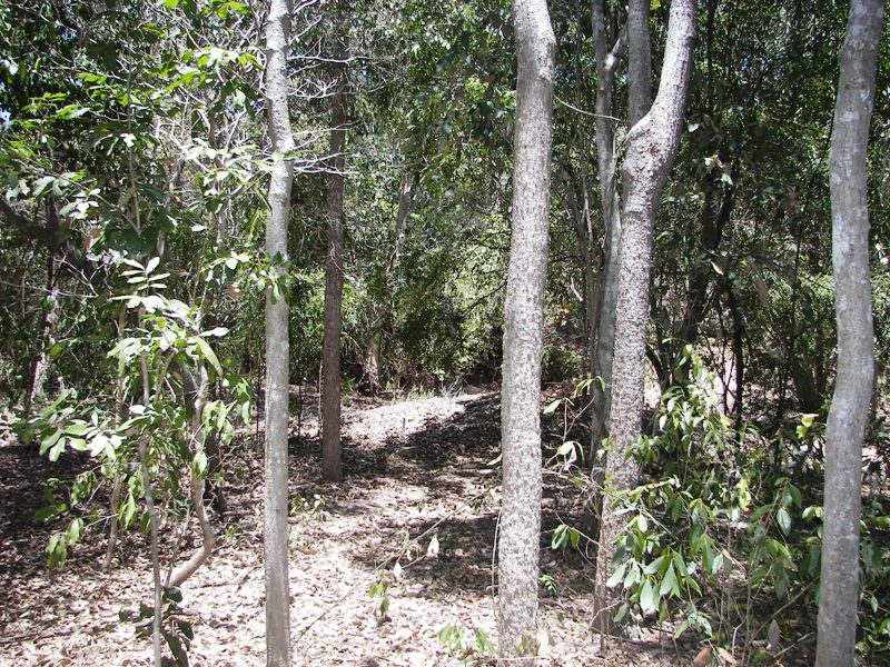 Hideaway Estate
-
Nelly Bay
-
Magnetic Island
-
Rural living
-
22mins to Townsville !! Picture 3