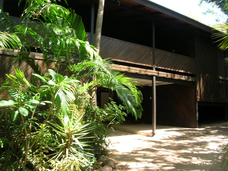 Leafy Gem in Nelly Bay Picture 1