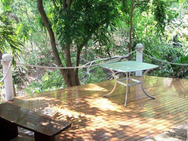 Rustic Queenslander backing onto National Park Picture 3