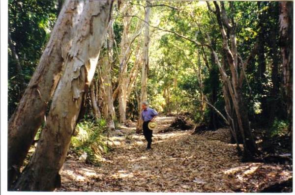 AT ONE WITH NATURE - FREEHOLD ACREAGE Picture 3