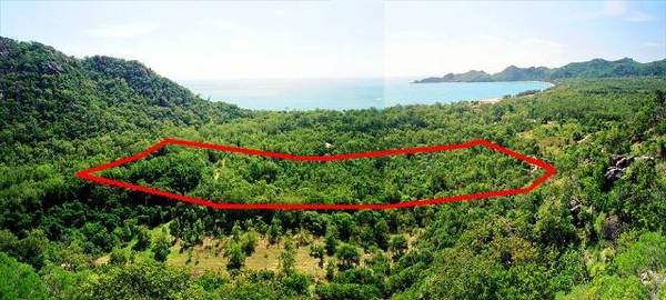 AT ONE WITH NATURE - FREEHOLD ACREAGE Picture 1