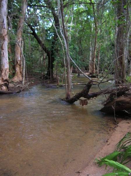 AT ONE WITH NATURE - FREEHOLD ACREAGE Picture 2