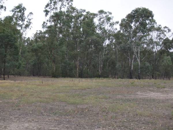 Murray River Picture 3