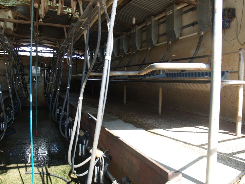 DAIRY FARM WITH LARGE UNDERGOUND ALLOCATION Picture 2