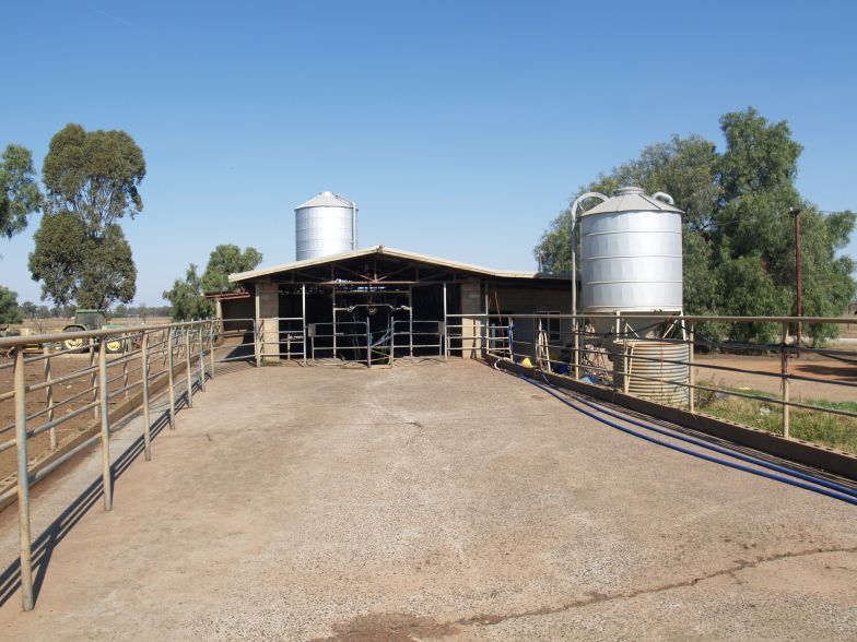 DAIRY FARM WITH LARGE UNDERGOUND ALLOCATION Picture 3