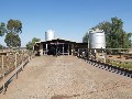DAIRY FARM WITH LARGE UNDERGOUND ALLOCATION Picture