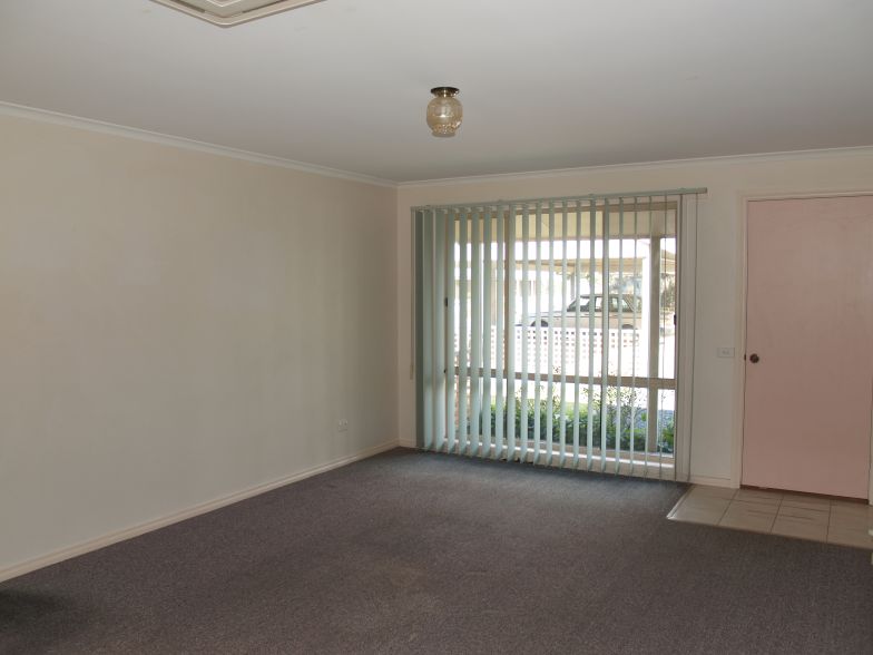 OWNER MAINTAINS GARDENS Picture 3