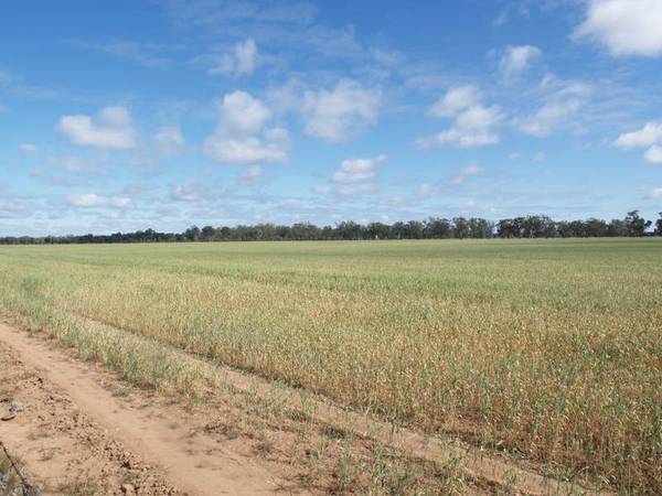401 HA - 991 Acres Approx Picture