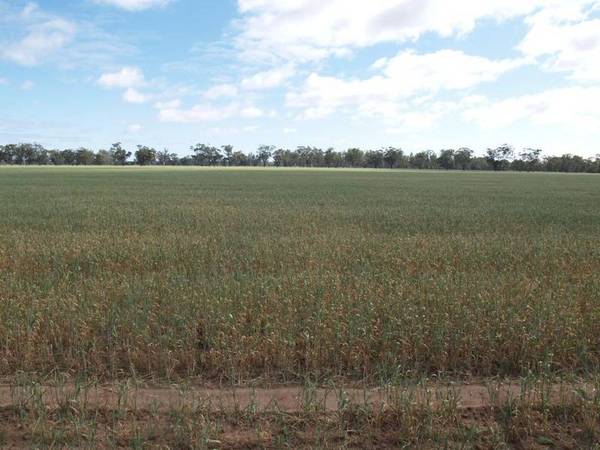 401 HA - 991 Acres Approx Picture