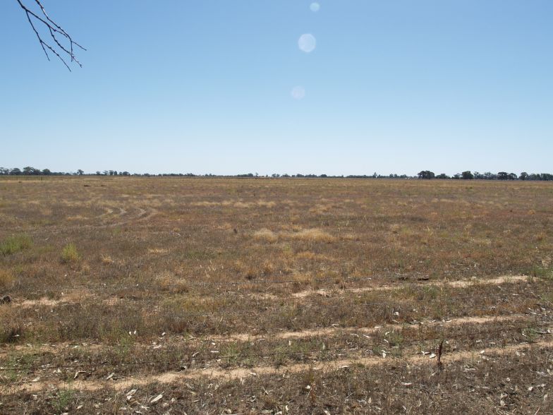 Lifestyle Block Picture 2