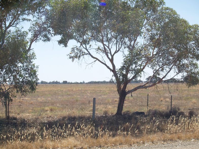 Lifestyle Block Picture 3