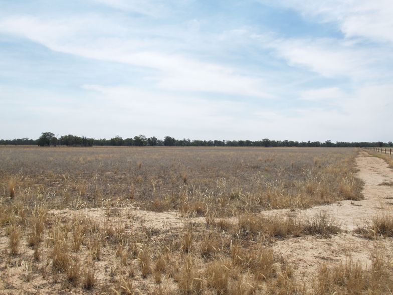 Creek Frontage Picture 2