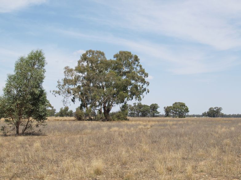 Creek Frontage Picture 1