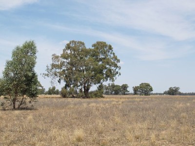 Creek Frontage Picture Creek Frontage Picture