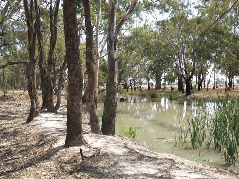 Creek Frontage Picture 3