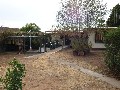 CENTRAL NATHALIA Picture