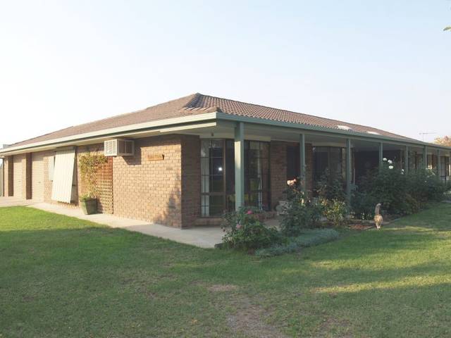 Enjoy The View Picture 1